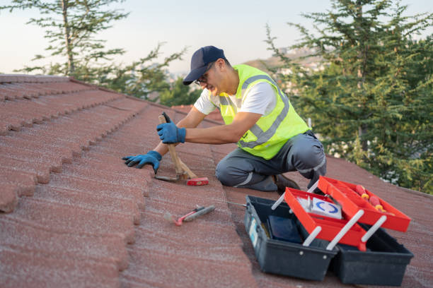 Best Metal Roofing Contractor  in Advance, MO